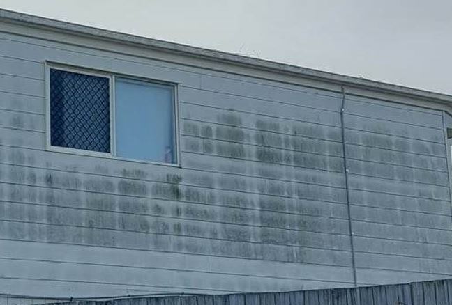 managing mould