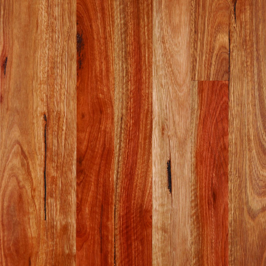 Standard and Better Grade Standard and Better Grade